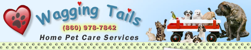 Banner Image - Wagging Tails Home Pet Care, Pet Sitting, Enfield CT